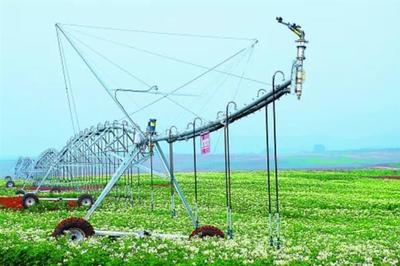 強(qiáng)化農(nóng)業(yè)科技創(chuàng)新與應(yīng)用 推進(jìn)現(xiàn)代種業(yè)科技支撐與水果種植提質(zhì)增效