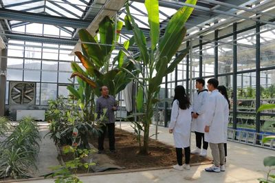 百尺高梧,撐得起一輪月色;數(shù)椽矮屋,鎖不住午夜書聲——從水果種植看高考精神