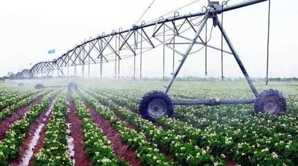 是什么讓「水深火熱」的以色列成為第二個硅谷？——從水果種植到科技創(chuàng)新的啟示