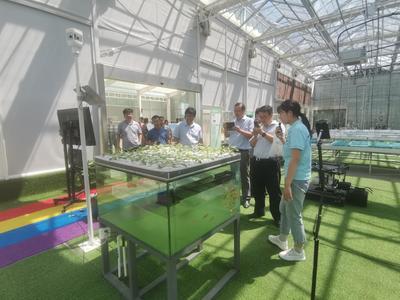 科技開發(fā)處組織參觀南京農(nóng)業(yè)智慧園區(qū) 探索水果種植的數(shù)字化創(chuàng)新