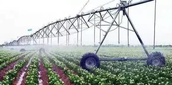 以色列農業技術開發 如何實現'一分耕耘，十分收獲'