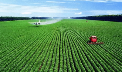 湖北農(nóng)村致富新路徑 農(nóng)業(yè)技術(shù)開發(fā)引領(lǐng)產(chǎn)業(yè)升級