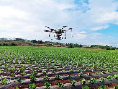 深入貫徹落實(shí)新發(fā)展理念 開創(chuàng)云南煙葉高質(zhì)量發(fā)展新局面