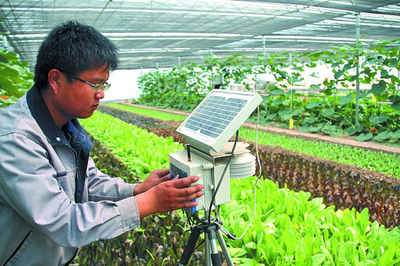 農(nóng)業(yè)技術(shù)在水果種植中的創(chuàng)新應(yīng)用與發(fā)展前景